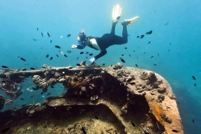 Coron Reefs and Wrecks Tour - An In-Depth Look at the Coron Reefs and Wrecks Tour
