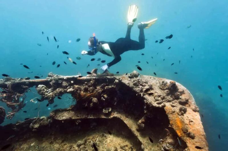 Coron: Reefs and Wrecks Tour with Snorkeling Equipment - The Real Value of This Tour