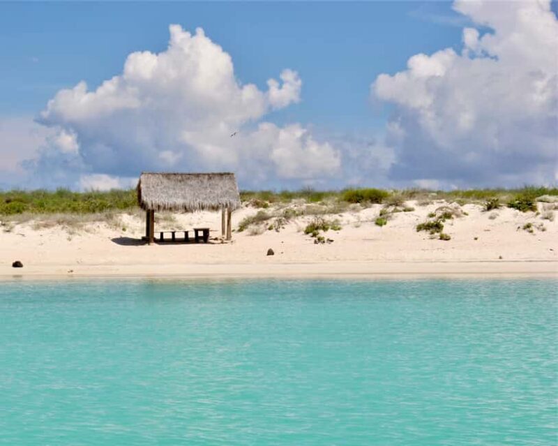 Coronado Island and Snorkel Tour - An Authentic Day in Baja’s Sea of Cortez