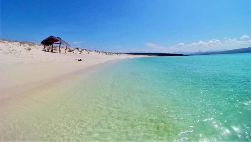 Coronado Island and Snorkel Tour - Observing Birdlife and Marine Fauna