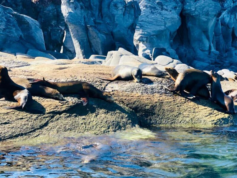 Coronado Island and Snorkel Tour - Relaxing on a Private Beach