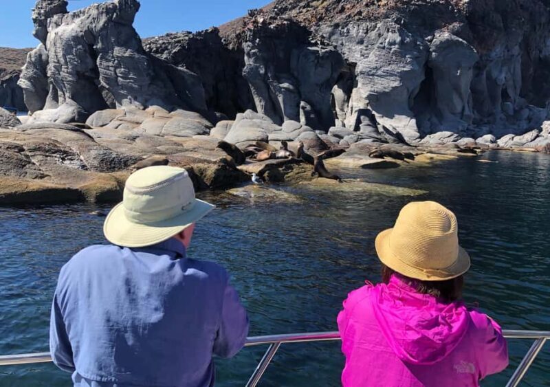 Coronado Island and Snorkel Tour - Who Should Consider This Tour?