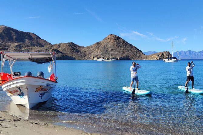 Coronado Island Visit and Sea Lions Swimming - Key Points