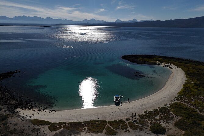 Coronado Island Visit and Sea Lions Swimming - The Sum Up