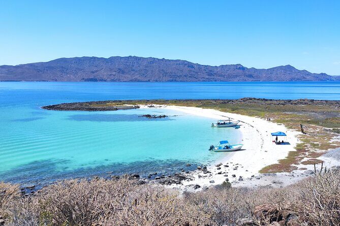 Coronado Island Visit and Sea Lions Swimming - FAQ