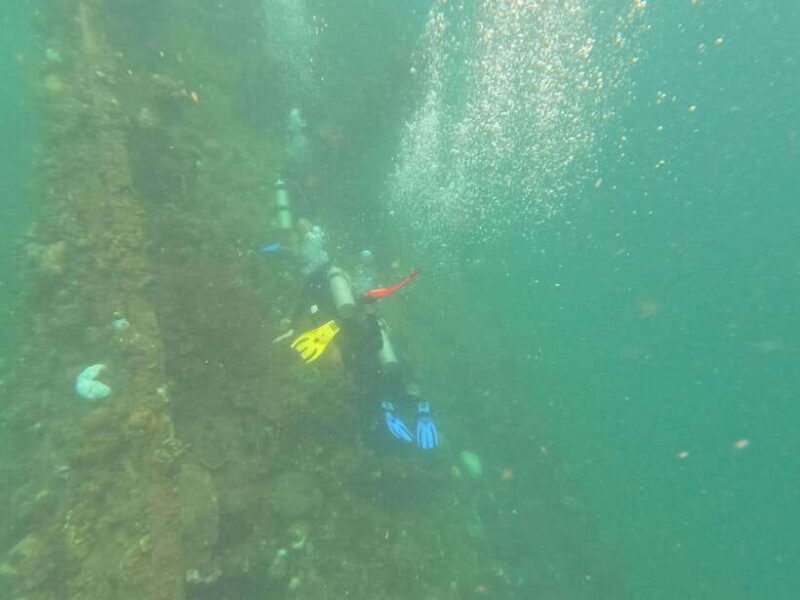 CORON:REEF AND WRECK - 2 JAPANESE WRECK AND PASS ISLAND TOUR - An In-Depth Look at the Coron Reef and Wreck Tour