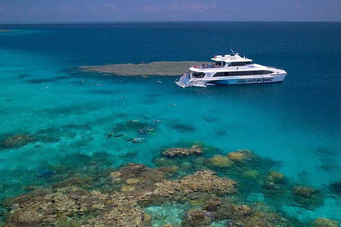 Corporate Bus, Private Transfer, Port Douglas - Cairns - Final Thoughts: Is It Worth It?