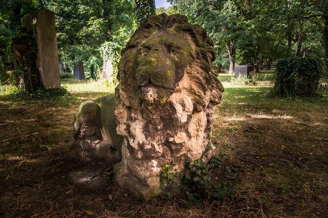 Corpses, Leprosy, Lucifer 75-minute Tour at the Old Cemetery - Who Will Enjoy This Tour?