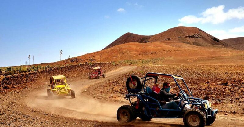 Corralejo: Buggy Safari Tour - Who Will Love This Tour?
