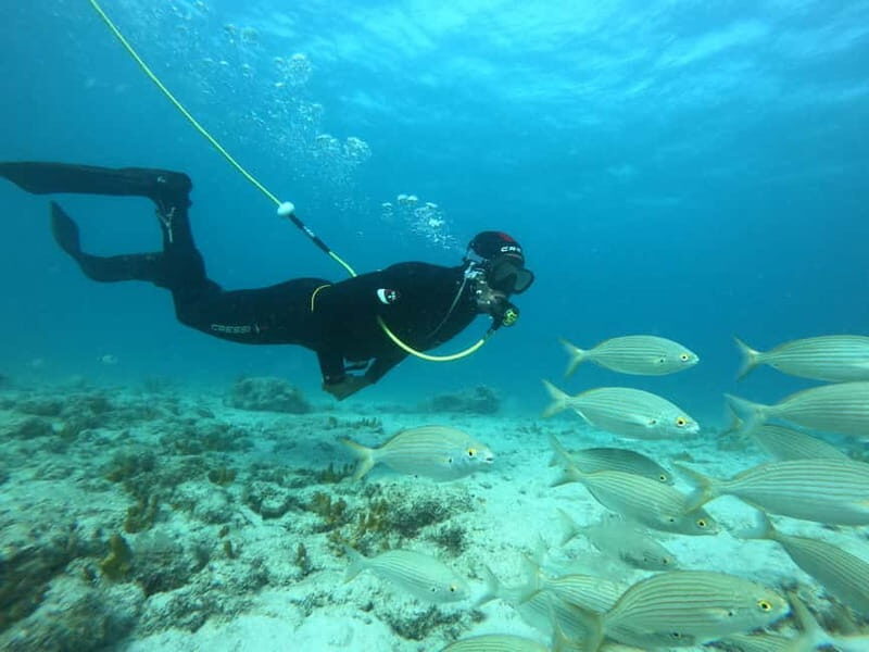 Corralejo: Lobos Island Beginner Dive Boat Tour and Snorkel - Who Will Love This Experience?