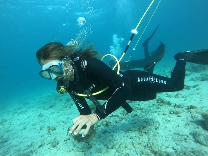 Corralejo: Lobos Island Beginner Dive Boat Tour and Snorkel - FAQs