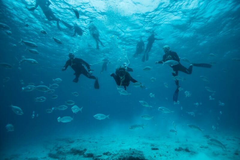 Corralejo: Lobos Island Beginner Dive Boat Tour and Snorkel - Final Thoughts