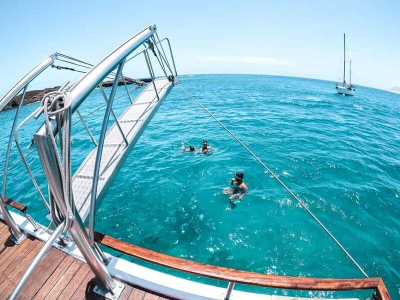 Corralejo: Snorkeling on Lobos Island & Return Ferry Ticket - Key Points