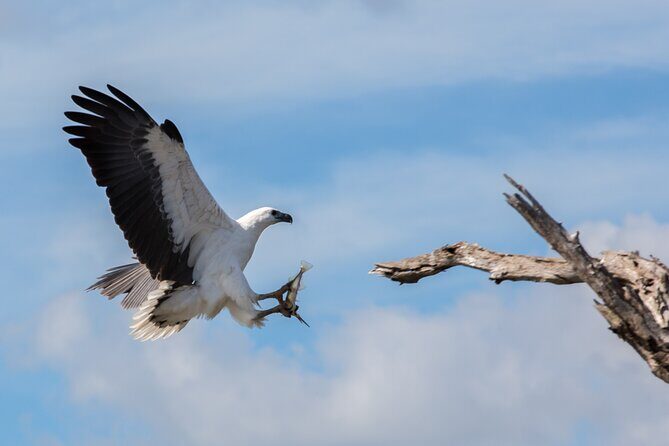 Corroboree Billabong 2.5 hour Lunch Cruise - Frequently Asked Questions