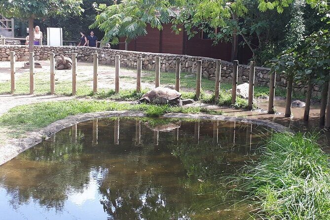 Corsica A Cupulatta Turtle Park Skip the Line Admission Ticket - Who Will Appreciate A Cupulatta?