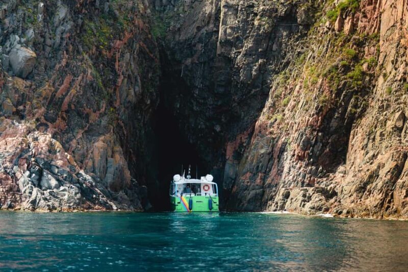 Corsica: Guided Sea Trip From Porto-Ota - Who Will Love This Tour?