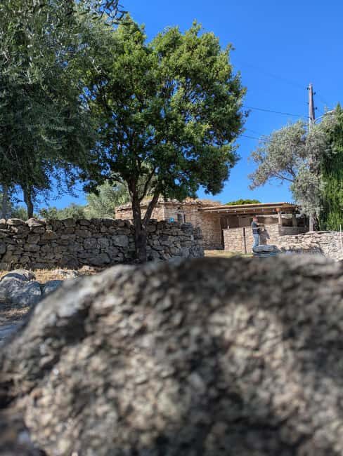 Corsica: Organic wine tasting - Key Points