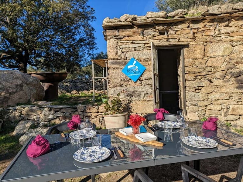 Corsica: Organic wine tasting - Final Thoughts