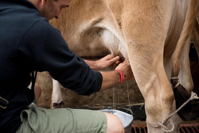 Corso Lecheria Tour - In-Depth Review of the Corso Lecheria Tour