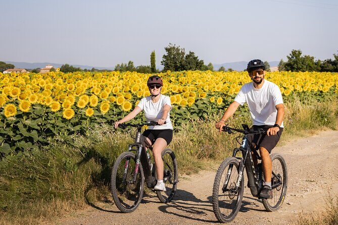 Cortona - eBike tour and wine tasting in the Val di Chiana [+40] - A Deep Dive into the Cortona eBike and Wine Tour