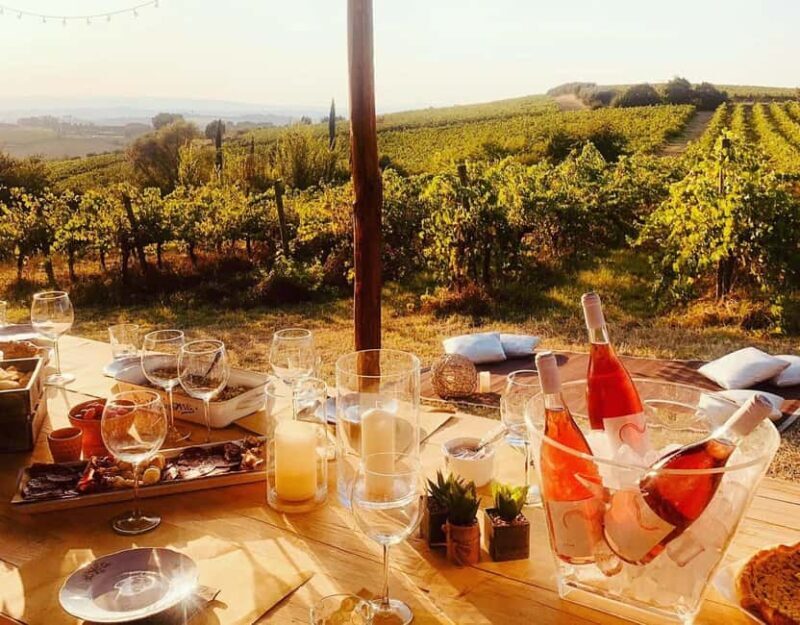 Cortona: Organic wines tasting at Colle Acacia's vineyards - A Closer Look at the Experience