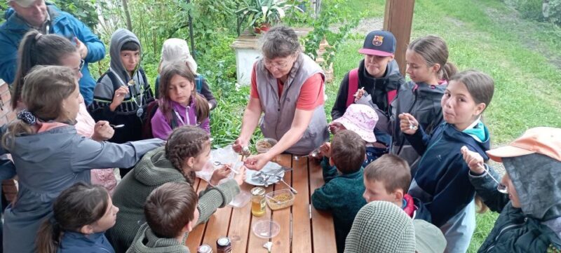 Corund, HR: Visit to bee-keeper, tasting & hive-opening - Corund, HR: Visit to Bee-keeper, Tasting & Hive-Opening