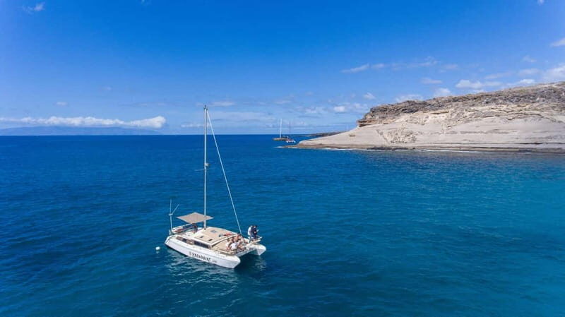 Costa Adeje: Catamaran Tour, Snorkelling, Snacks & Drinks - Who Will Enjoy This Trip?