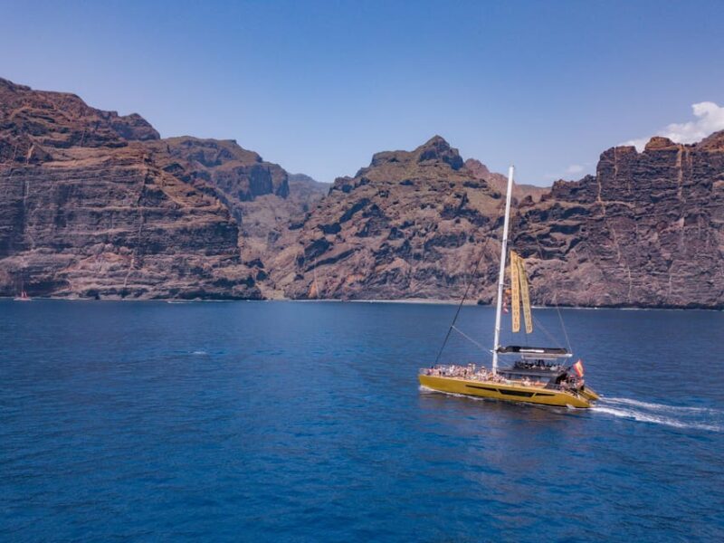 Costa Adeje: Masca and Los Gigantes Whale Watching Cruise - Key Points
