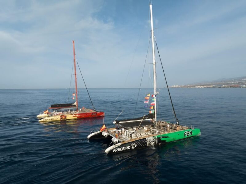 Costa Adeje: Masca and Los Gigantes Whale Watching Cruise - A Detailed Look at the Experience
