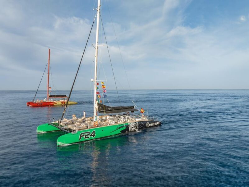 Costa Adeje: Masca and Los Gigantes Whale Watching Cruise - FAQs
