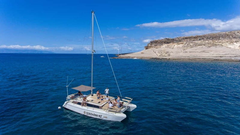 Costa Adeje: Private Catamaran Tour 22 Persons Max - Who Should Consider This Tour?