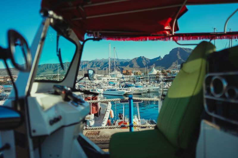 Costa Adeje: Tuk Tuk Tour - Who Should Consider This Tour