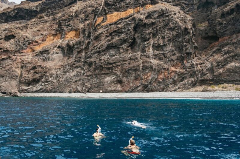 Costa Adeje: Whale & Dolphin Eco-Cruise with Snacks & Drinks - An Honest Look at the Experience in Costa Adeje