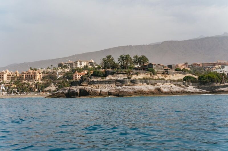 Costa Adeje: Whale & Dolphin Eco-Cruise with Snacks & Drinks - A Balanced View: The Pros and Cons