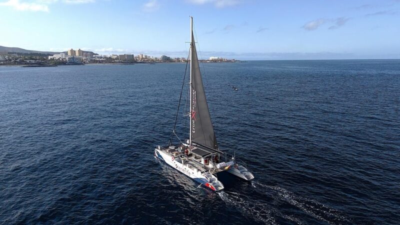 Costa Adeje: Whale & Dolphin Eco-Cruise with Snacks & Drinks - FAQ