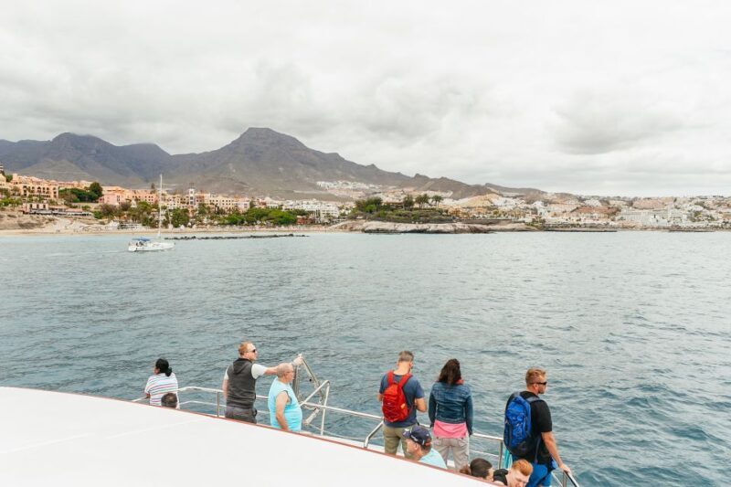 Costa Adeje: Whale & Dolphin Submarine Vision Mini Cruise - FAQ: Your Questions About the Costa Adeje Whale & Dolphin Cruise