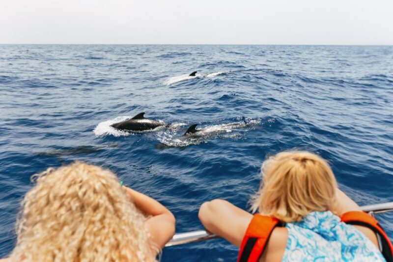 Costa Adeje: Whale Watching Catamaran Tour with Drinks - Key Points