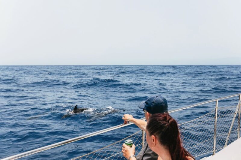 Costa Adeje: Whale Watching Catamaran Tour with Drinks - Frequently Asked Questions