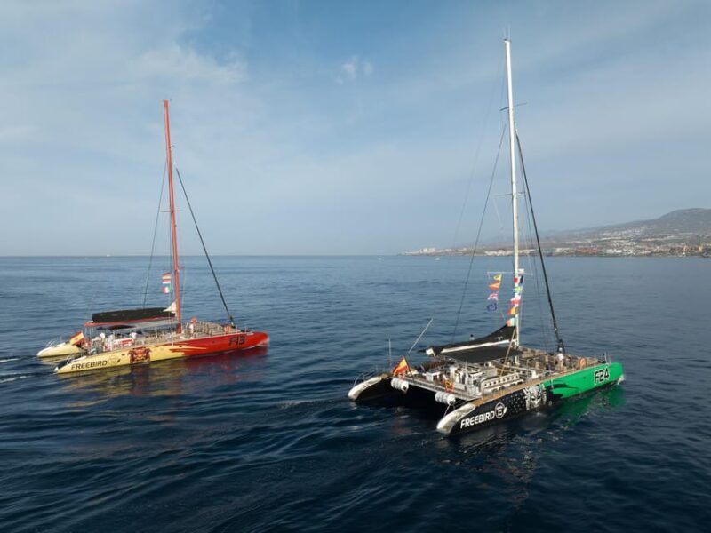 Costa Adeje: Whale Watching Cruise with Snack and Drinks - Food and Drink: Why It Matters
