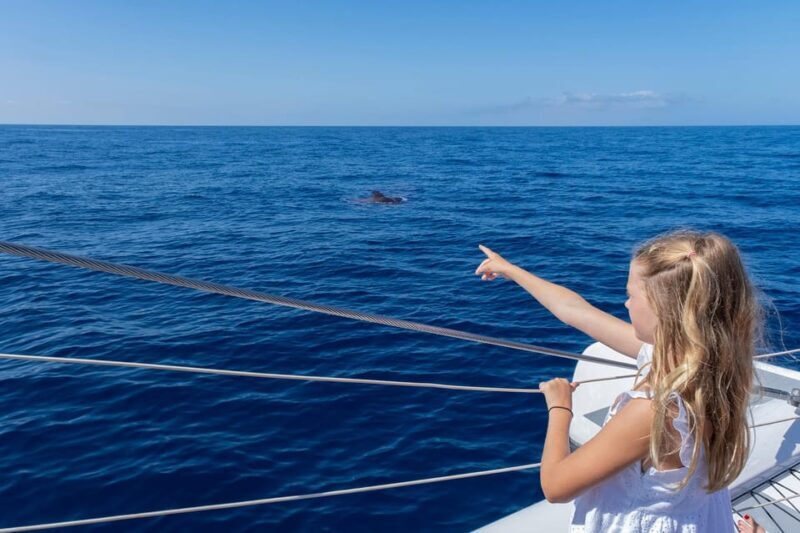 Costa Adeje: Whale Watching Cruise with Snack and Drinks - Who Will Love This Tour?