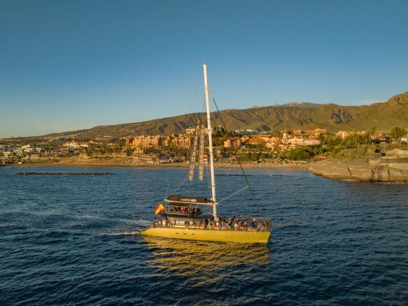 Costa Adeje: Whale Watching Cruise with Snack and Drinks - Considerations Before Booking