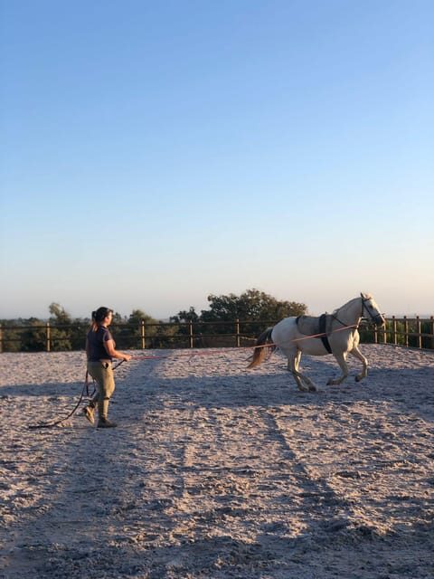 Costa Alentejana: Horse tour in Serra de Grândola - An In-Depth Look at the Costa Alentejana Horse Tour