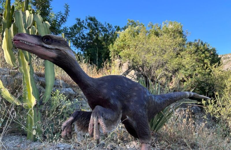 Costa Blanca: DinoPark Algar Entry Ticket - Who Should Consider Visiting
