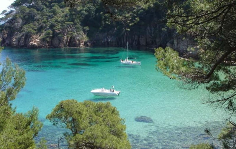 Costa Brava: A day of sailing, sun, and wine among picturesque coves - Key Points