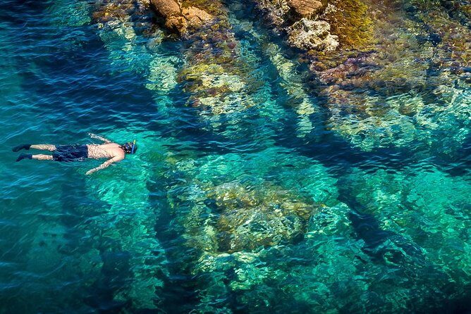 Costa Brava Day Adventure: Kayak, Snorkel & Cliff Jump with Lunch - A Detailed Look at the Costa Brava Day Adventure