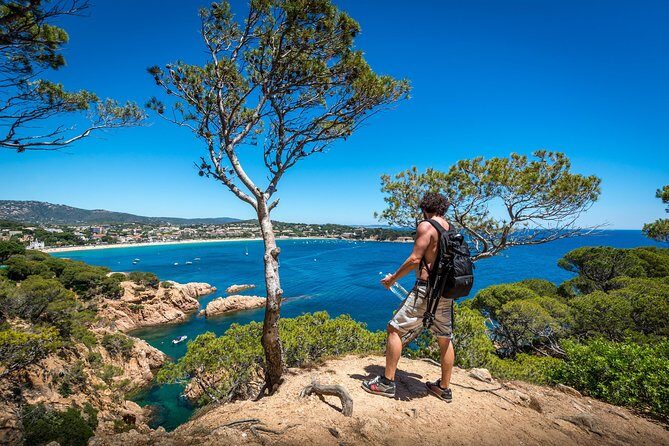 Costa Brava Day Adventure: Trails, Snorkel, Cliff-Jump & Meal - Overall Value and Who Will Love This Tour