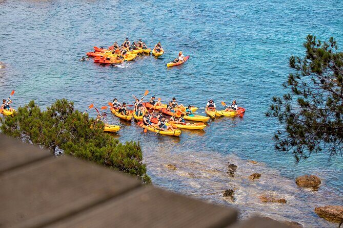 Costa Brava Guided Kayak and Snorkeling Excursion in Playa de Aro - A Closer Look at the Costa Brava Kayak & Snorkeling Experience