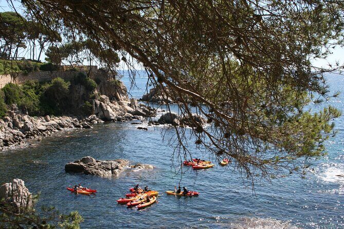 Costa Brava Guided Kayak and Snorkeling Excursion in Playa de Aro - The Practicalities: What You Need to Know