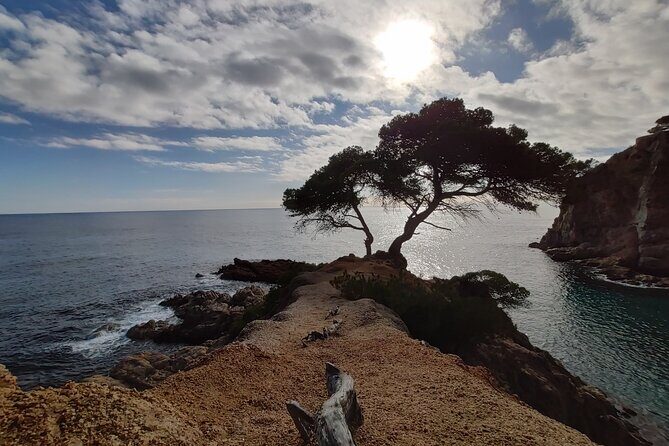 Costa Brava Kayak Experience with Snorkel from Barcelona - Exploring the Costa Brava Kayak Tour in Detail