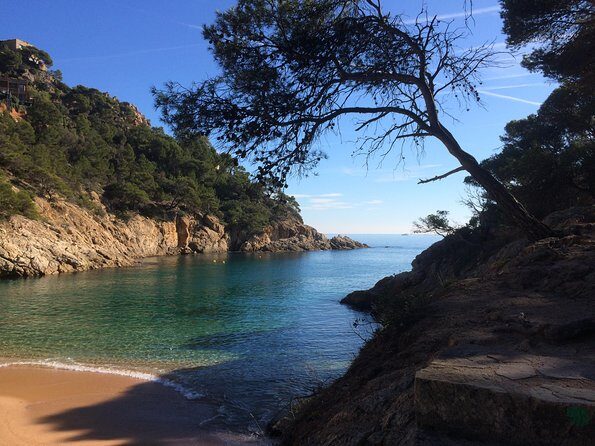 Costa Brava Scenic Hike & Tossa de Mar Small Group Tour - A Deep Dive into the Costa Brava Scenic Hike & Tossa de Mar Tour